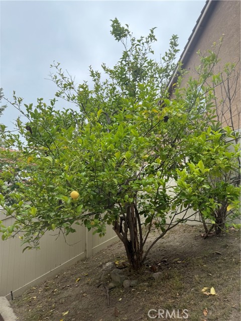 2930 Juniper Drive, Corona CA: https://media.crmls.org/medias/9f7be9d6-d25f-495e-80a3-e6acb51f8ead.jpg