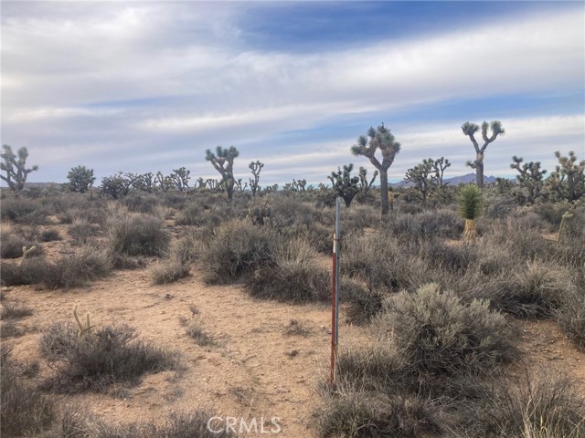 Detail Gallery Image 3 of 6 For 0 Cedar Canyon, Essex,  CA 92332 - – Beds | – Baths