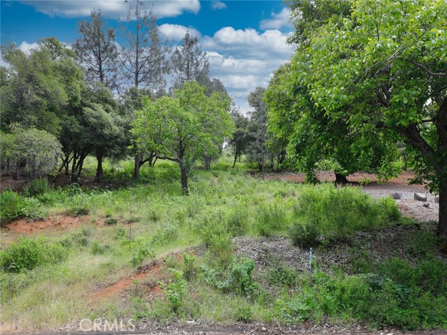 Detail Gallery Image 2 of 11 For 3218 Skyline Dr, Kelseyville,  CA 95451 - – Beds | – Baths