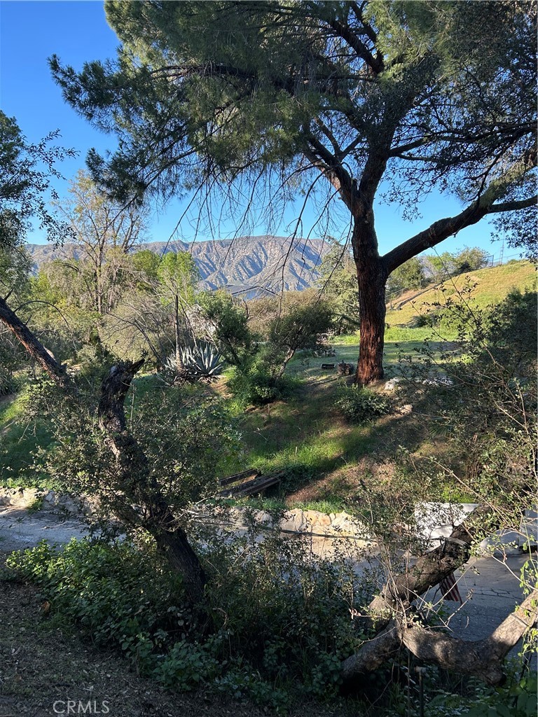 https://media.crmls.org/medias/9f83b6d1-a8b9-4278-95e3-76b2e3162b0d.jpg?preset=X-Large