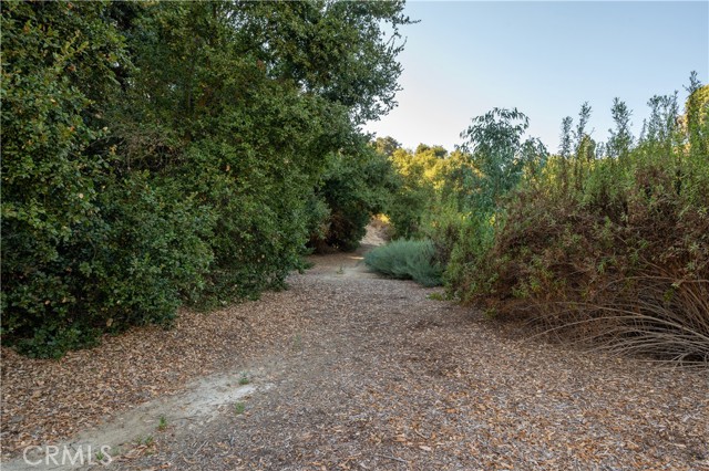 Detail Gallery Image 60 of 75 For 15536 Rhyolite Ct, Chino Hills,  CA 91709 - 4 Beds | 3 Baths