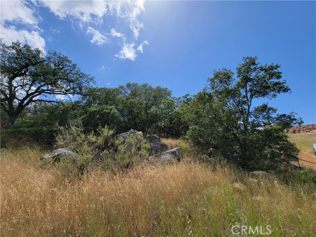 Detail Gallery Image 11 of 15 For 0 Lions Lair, Murrieta,  CA 92562 - – Beds | – Baths