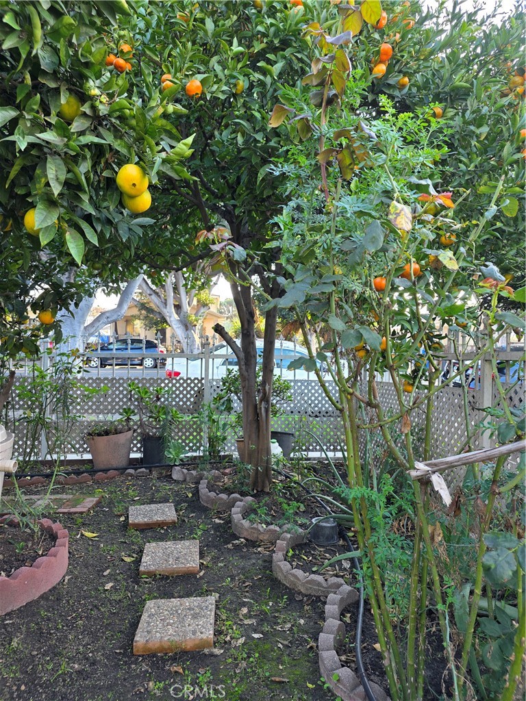 MLS #CV25265028 image #19