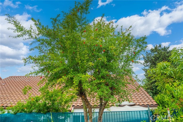 16247 Elza Drive, Hacienda Heights CA: https://media.crmls.org/medias/9f8f3a6c-16b9-4ea2-832b-253725ea943f.jpg