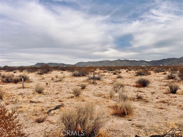 Detail Gallery Image 7 of 7 For 0 Ocotillo Rd, Johnson Valley,  CA 92285 - – Beds | – Baths