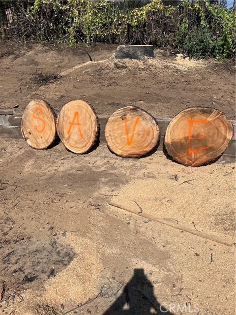 3485 Marengo Avenue, Altadena CA: https://media.crmls.org/medias/9f90d8f3-24f5-4ebb-b892-f9d6eb5b4b20.jpg