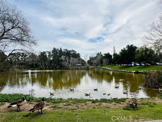 Photo #44: CRSR26051768 Listing: Photo #44