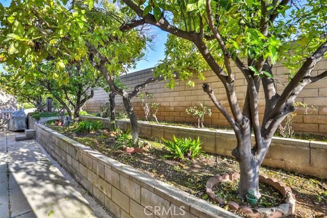 Detail Gallery Image 23 of 26 For 1245 W Cienega Ave #194,  San Dimas,  CA 91773 - 3 Beds | 2 Baths