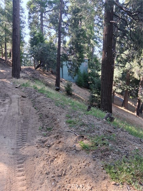 61 Evergreen Drive, Cedarpines Park CA: https://media.crmls.org/medias/9f978603-4242-4792-9c12-fdd76e6dd0b3.jpg