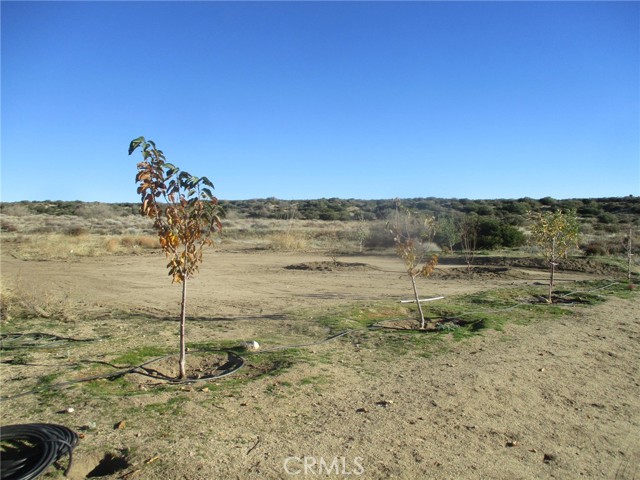 Detail Gallery Image 6 of 10 For 28391 Skyway Dr, Ranchita,  CA 92066 - – Beds | – Baths