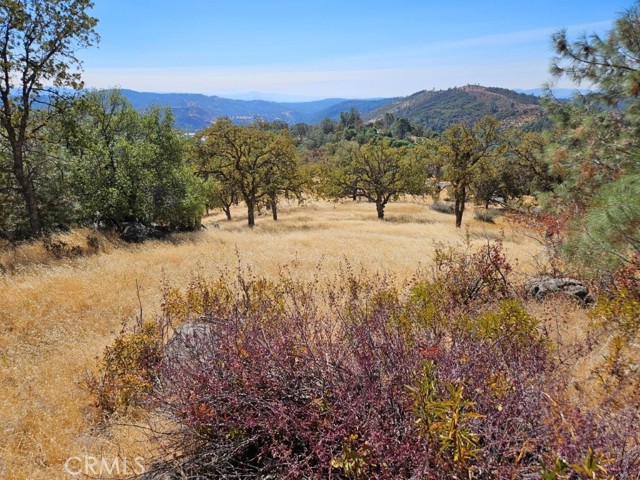 Detail Gallery Image 17 of 18 For 5640 Blue Oak Ridge Rd, Mariposa,  CA 95338 - – Beds | – Baths