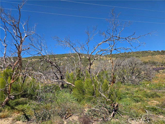 Detail Gallery Image 8 of 10 For 0 Howard, Anza,  CA 92539 - – Beds | – Baths