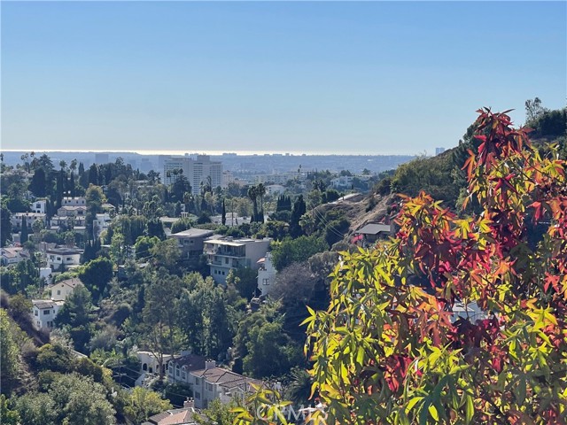 Detail Gallery Image 3 of 38 For 6432 Weidlake Dr, Los Angeles,  CA 90068 - 4 Beds | 3/1 Baths