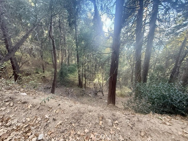 61 Lot - El Valle Road, Cedarpines Park CA: https://media.crmls.org/medias/9faadf21-3229-40ef-87db-4216c9a5bf6f.jpg