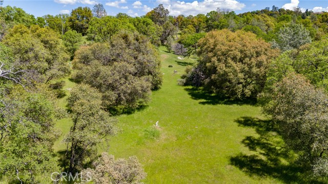 Detail Gallery Image 29 of 33 For 4872 Hirsch Rd, Mariposa,  CA 95338 - – Beds | – Baths