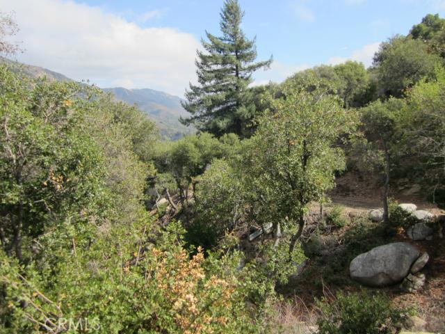 Detail Gallery Image 4 of 24 For 0 Burnt Mill Canyon Rd, Cedarpines Park,  CA 92322 - – Beds | – Baths