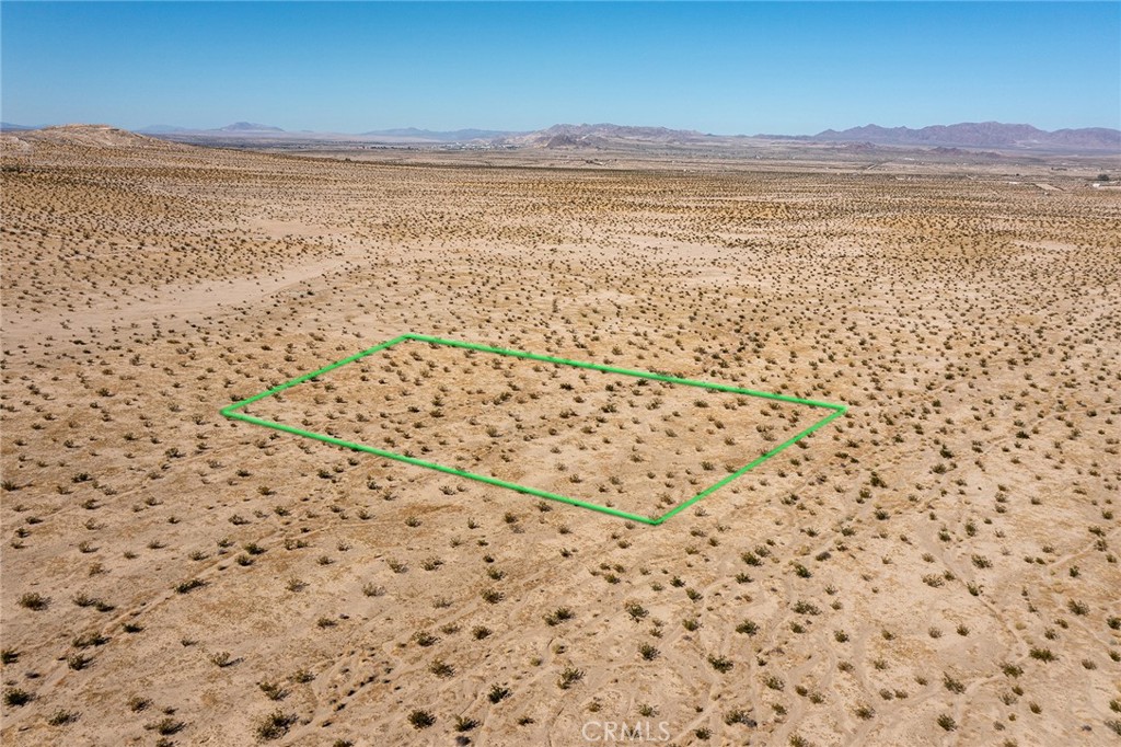 MLS #JT25255739 image #11