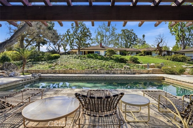 Image 1 of 66 For 100 Saddleback