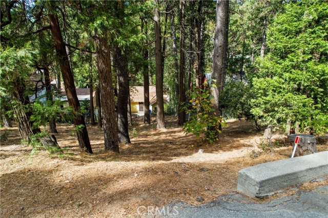 0 Crest Forest Drive, Crestline, California 92325, ,Land,For Sale,0 Crest Forest Drive,CRCV24039397