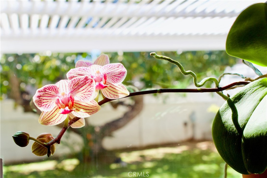 https://media.crmls.org/medias/9fd276bf-9243-45d6-b571-d8c33679cc2a.jpg?preset=X-Large