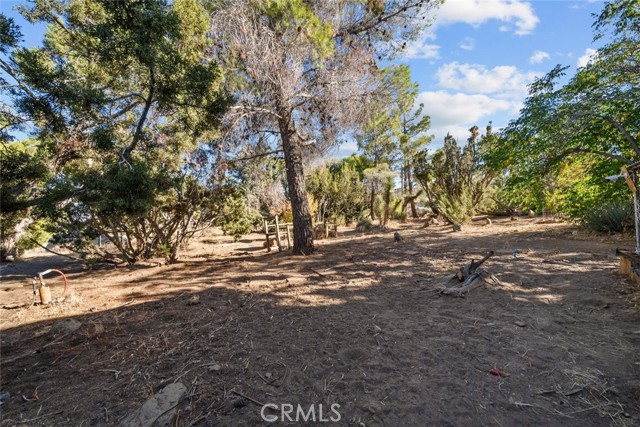 Detail Gallery Image 46 of 54 For 8676 Sky Line Dr, Pinon Hills,  CA 92372 - 3 Beds | 2/1 Baths