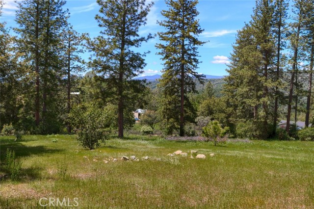 Detail Gallery Image 8 of 25 For 0 4.98 Ac Timberwood Ln, Oakhurst,  CA 93644 - – Beds | – Baths