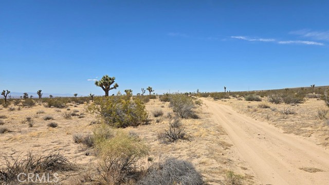 Image 14 of 21 For 0 147th St E Vicinity Capleton D