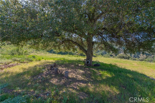 Image 21 of 35 For 28741 Williams Canyon Rd.