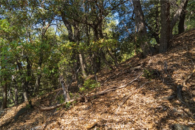 0 Chillon Drive, Crestline, California 92325, ,Land,For Sale,0 Chillon Drive,CRRW22222342