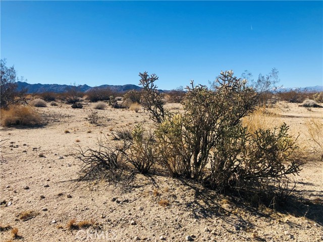 Detail Gallery Image 8 of 9 For 5 Appian Way, Twentynine Palms,  CA 92277 - – Beds | – Baths