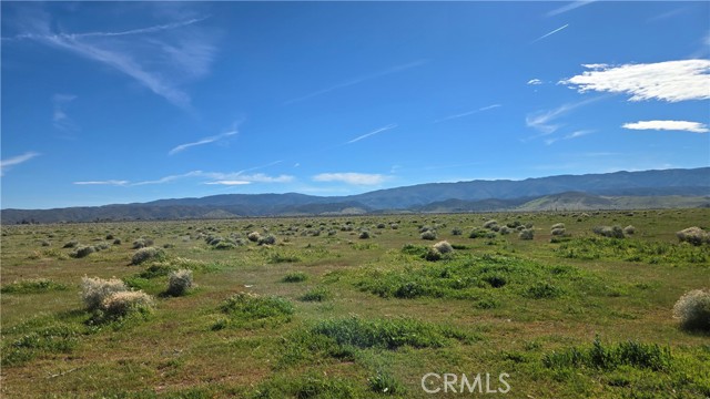 Detail Gallery Image 7 of 39 For 0 Avenue B-8 Vicinity 265th St W, –,  CA 93536 - – Beds | – Baths