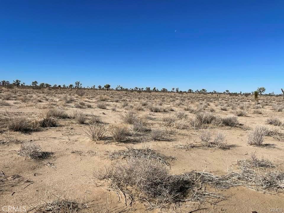 MLS #HD25000657 image #14