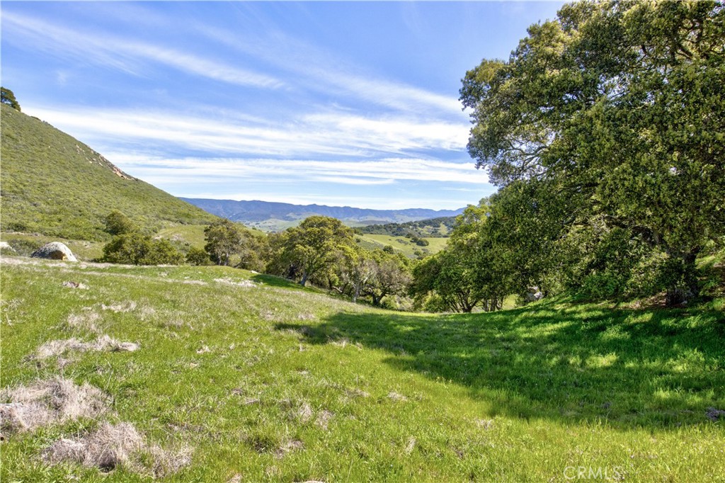 MLS #SC25063085 image #42