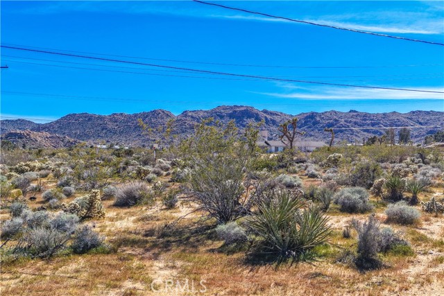 Detail Gallery Image 29 of 37 For 7273 Sunny Vista, Joshua Tree,  CA 92252 - 2 Beds | 2 Baths