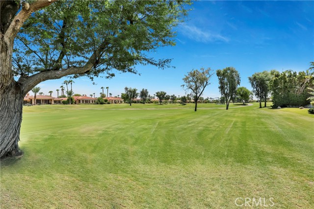 Detail Gallery Image 36 of 48 For 79460 Citrus, La Quinta,  CA 92253 - 3 Beds | 3/1 Baths