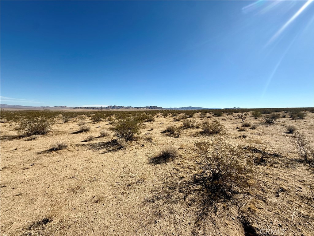 MLS #JT25208342 image #16