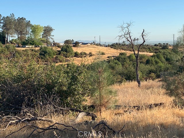 Front Image Thumbnail for CRPA26092220