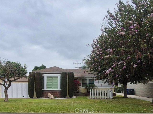 Front Image Thumbnail for CRDW26067674