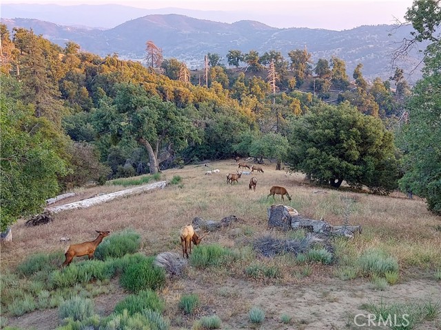 29600 Goldspike Road, Tehachapi CA: https://media.crmls.org/medias/9ffa0835-fdaf-479d-8d43-86105c240da3.jpg