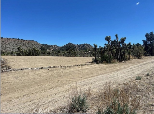 Detail Gallery Image 4 of 8 For 0 Evergreen Rd, Pinon Hills,  CA 92372 - – Beds | – Baths