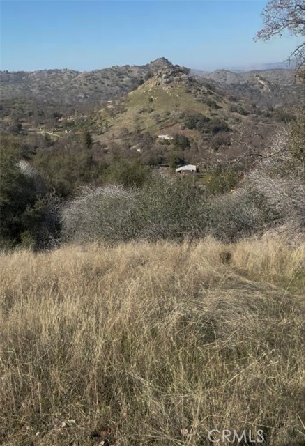 Front Image Thumbnail for CRND25194313