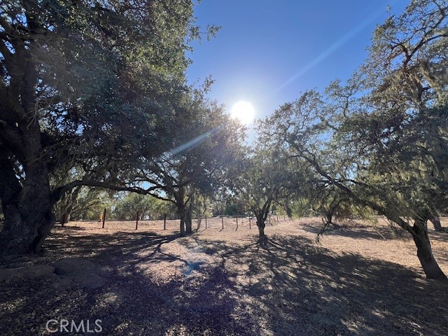 1810 LOT 28 Fire Rock Loop, Templeton CA: https://media.crmls.org/medias/a0004fc7-169e-44be-a72c-38165104bc4c.jpg
