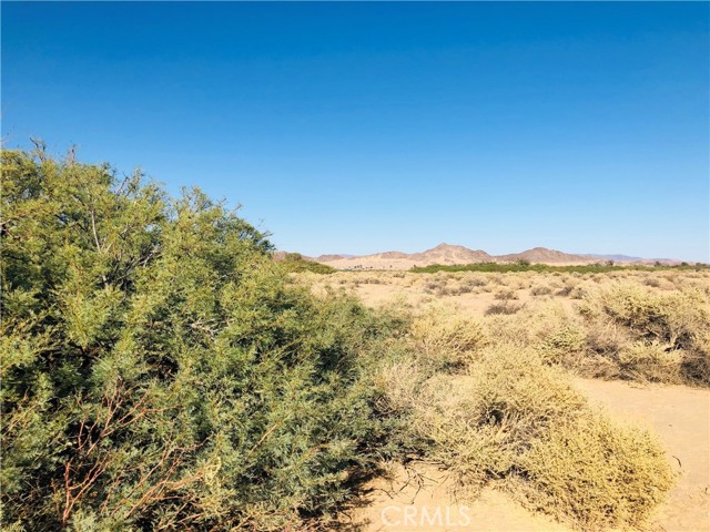 Detail Gallery Image 4 of 14 For 0 E of Mesquite Spr Rd, Twentynine Palms,  CA 92277 - – Beds | – Baths