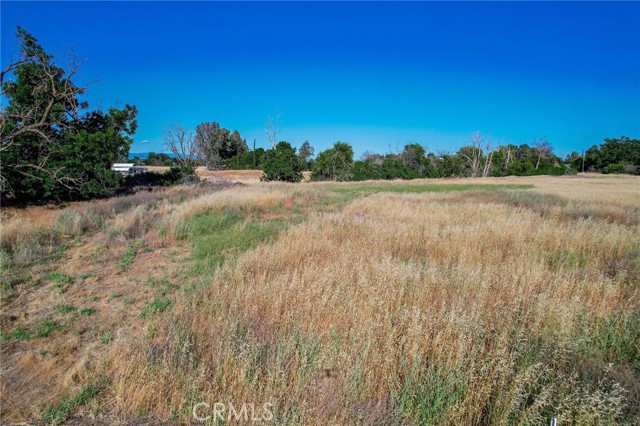 Detail Gallery Image 2 of 4 For 0 County Road Dd, Orland,  CA 95963 - – Beds | – Baths