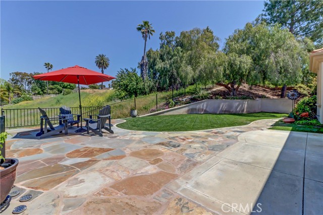 Patio and side yard