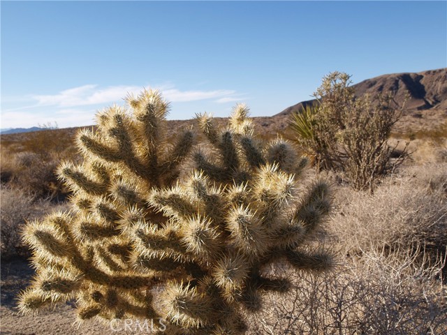 0 Lee rd, Joshua Tree, CA, 92252 0 Lee rd, Joshua Tree, CA, 92252