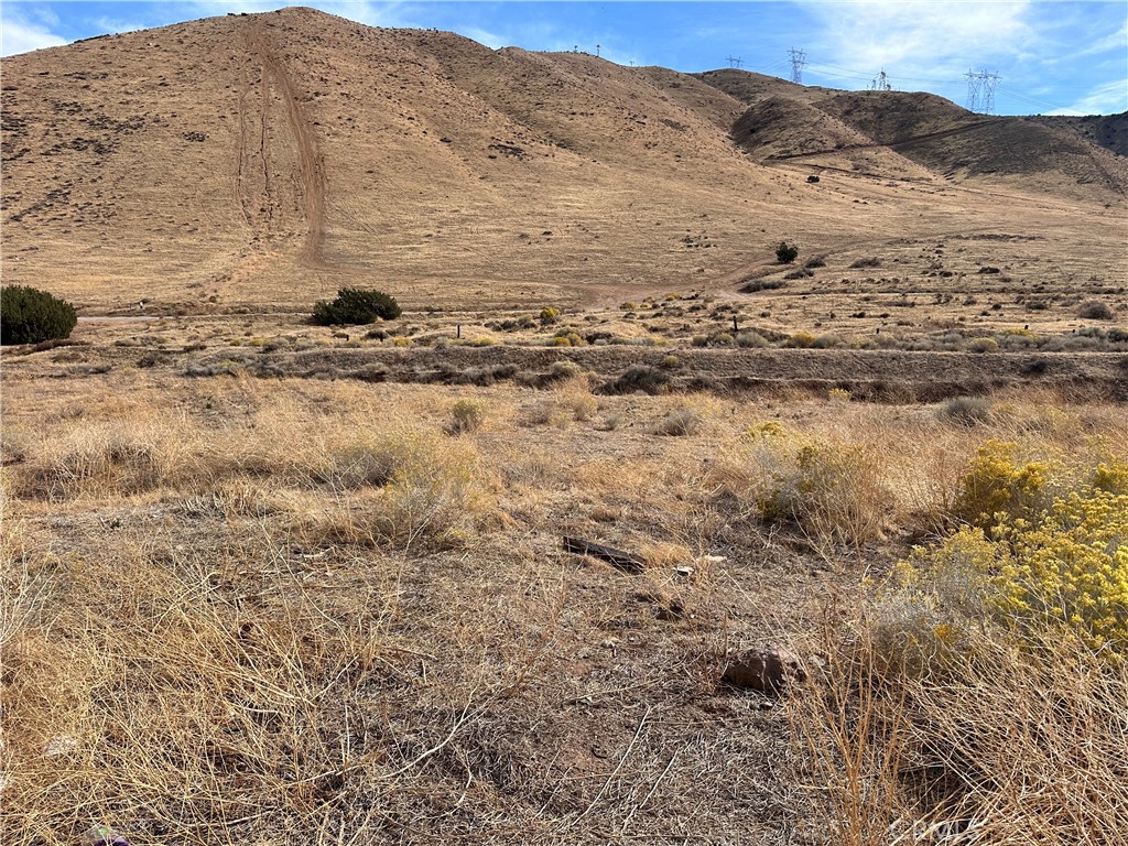 MLS #SR25258247 image #12