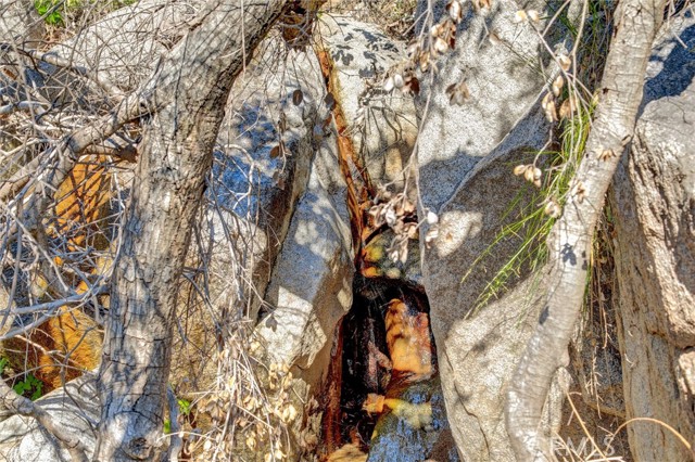 Detail Gallery Image 27 of 52 For 2 Decker Canyon Road, Ortega Mountain,  CA 92530 - – Beds | – Baths