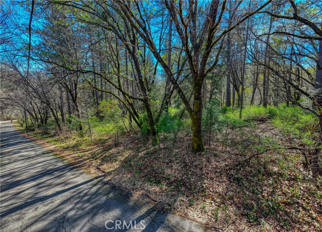 Detail Gallery Image 5 of 19 For 15347 Western Mine, Middletown,  CA 95461 - – Beds | – Baths