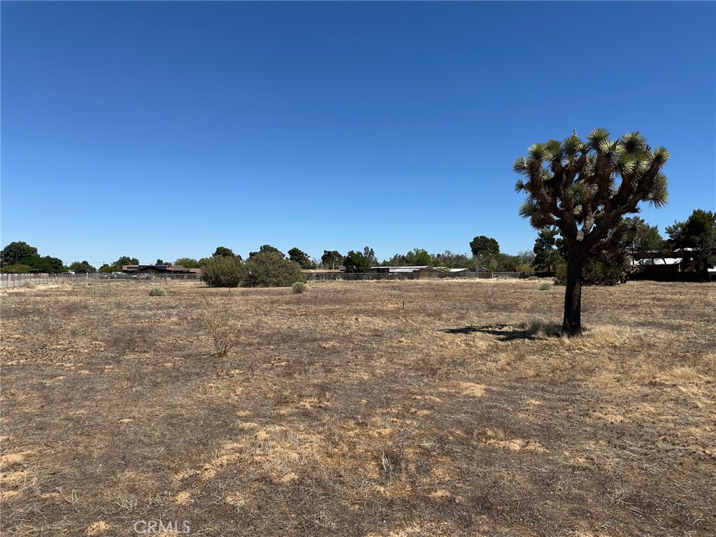 MLS #SR25255276 image #4